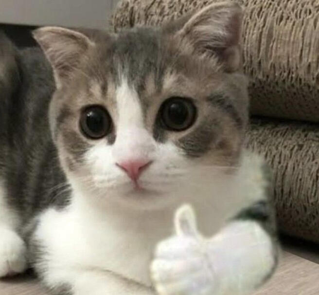 HEY WHY ARE YOU HERE?!